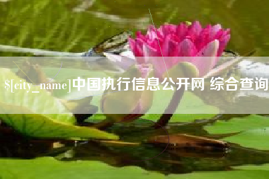 兰州中国执行信息公开网 综合查询