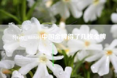 兰州中国金牌得了几枚金牌