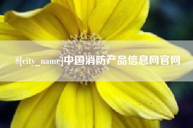 兰州中国消防产品信息网官网