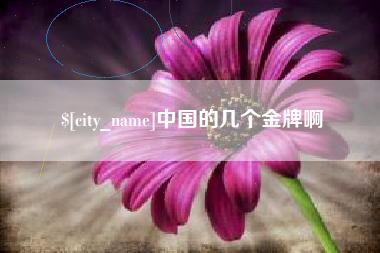 兰州中国的几个金牌啊
