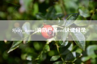 兰州消防产品cccf认证目录