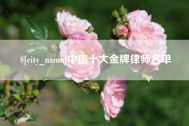 兰州中国十大金牌律师名单