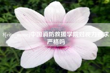 兰州中国消防救援学院对视力要求严格吗