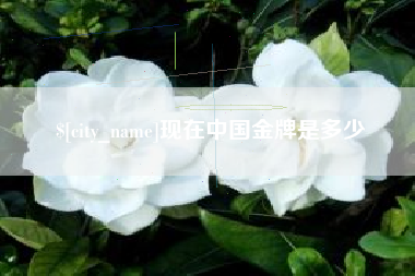 兰州现在中国金牌是多少