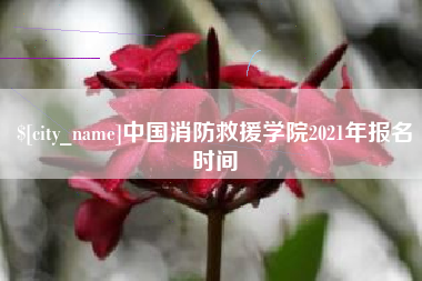 兰州中国消防救援学院2021年报名时间