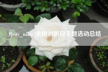 兰州全国消防日主题活动总结
