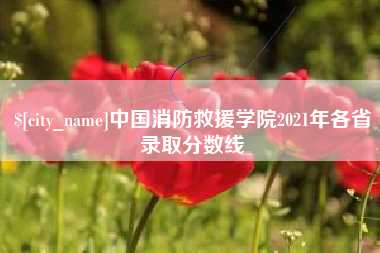 兰州中国消防救援学院2021年各省录取分数线