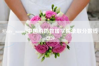 兰州中国消防救援学院录取分数线2020