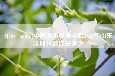 兰州中国消防救援学院2021年山东录取分数线是多少