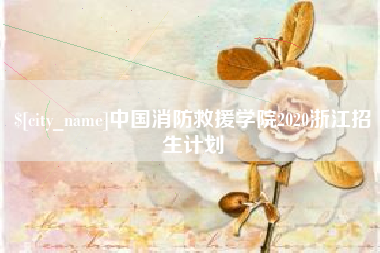 兰州中国消防救援学院2020浙江招生计划