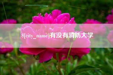 兰州有没有消防大学