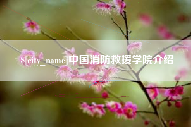 兰州中国消防救援学院介绍