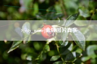 兰州金牌图片真实