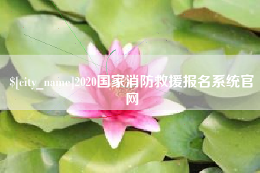 兰州2020国家消防救援报名系统官网