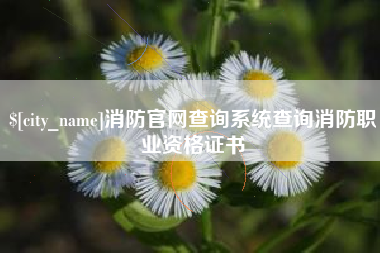 兰州消防官网查询系统查询消防职业资格证书