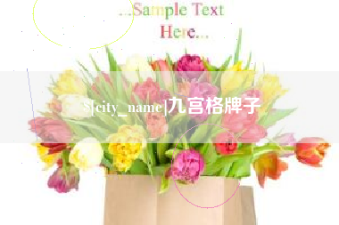 兰州九宫格牌子