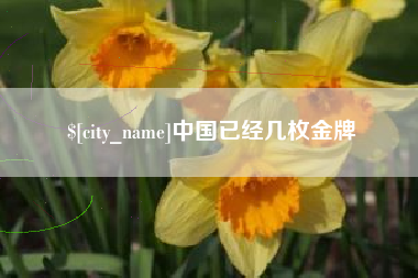 兰州中国已经几枚金牌