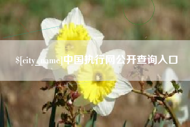 兰州中国执行网公开查询入口