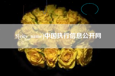 兰州中国执行信息公开网