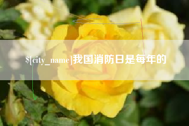 兰州我国消防日是每年的
