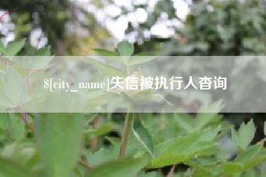兰州失信被执行人杳询
