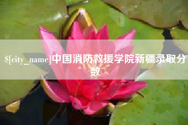 兰州中国消防救援学院新疆录取分数