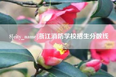 兰州浙江消防学校招生分数线