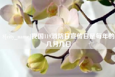 兰州我国119消防日宣传日是每年的几月几日