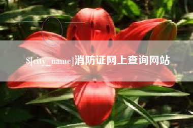 兰州消防证网上查询网站