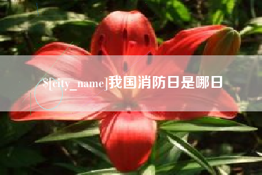 兰州我国消防日是哪日