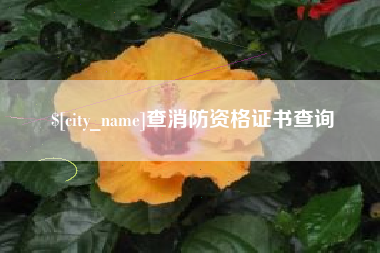 兰州查消防资格证书查询