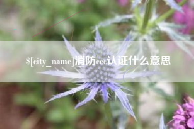 兰州消防ccc认证什么意思