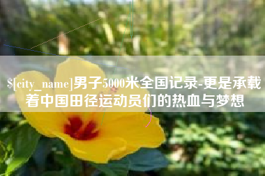 兰州男子5000米全国记录-更是承载着中国田径运动员们的热血与梦想