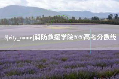 兰州消防救援学院2020高考分数线