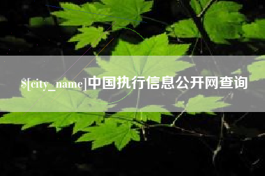 兰州中国执行信息公开网查询