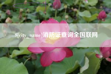 兰州消防证查询全国联网