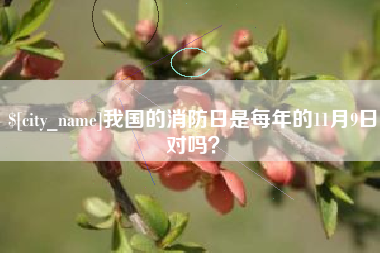 兰州我国的消防日是每年的11月9日对吗？