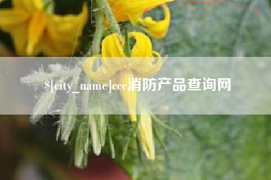 兰州ccc消防产品查询网