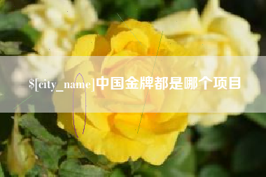 兰州中国金牌都是哪个项目