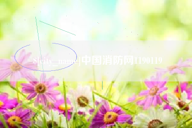 兰州中国消防网1190119