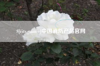 兰州中国消防产品官网
