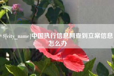 兰州中国执行信息网查到立案信息怎么办