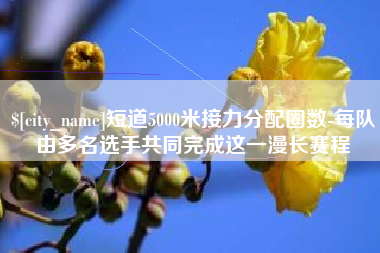兰州短道5000米接力分配圈数-每队由多名选手共同完成这一漫长赛程