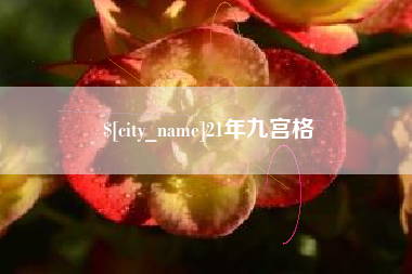 兰州21年九宫格