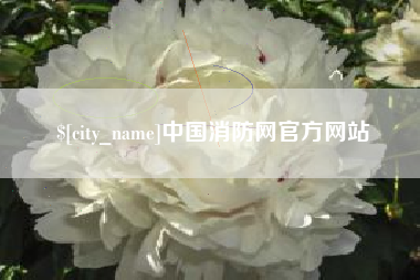 兰州中国消防网官方网站