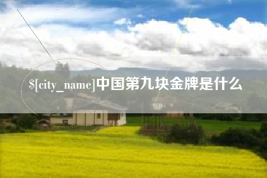 兰州中国第九块金牌是什么