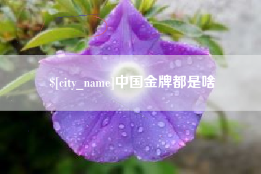 兰州中国金牌都是啥