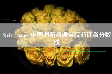 兰州中国消防救援学院浙江省分数线