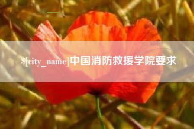 兰州中国消防救援学院要求