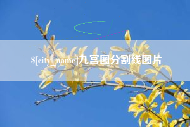 兰州九宫图分割线图片